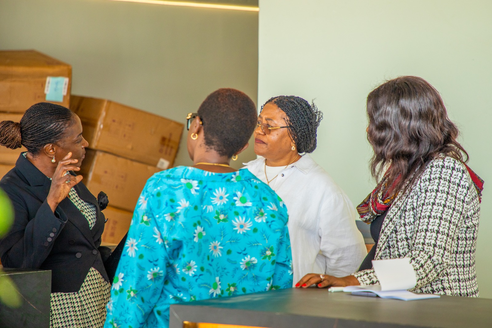 preparation for the 153rd Inter-Parliamentary Union (IPU) Assembly