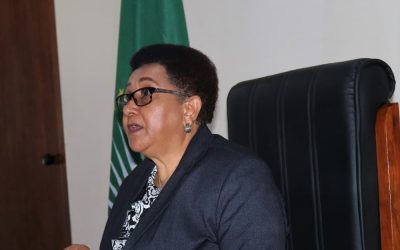 Dr. Tax Chairs African Union Peace and Security Council Meeting